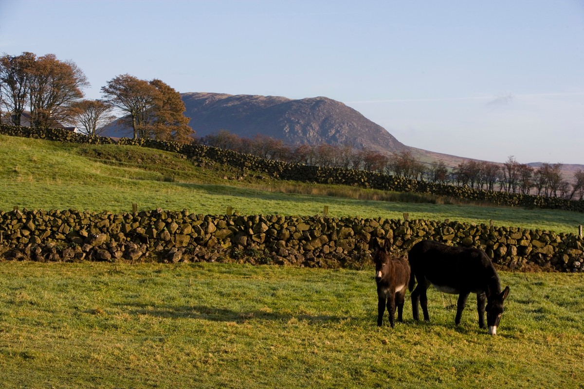 Slemish Mountain, Nordirland, Irland