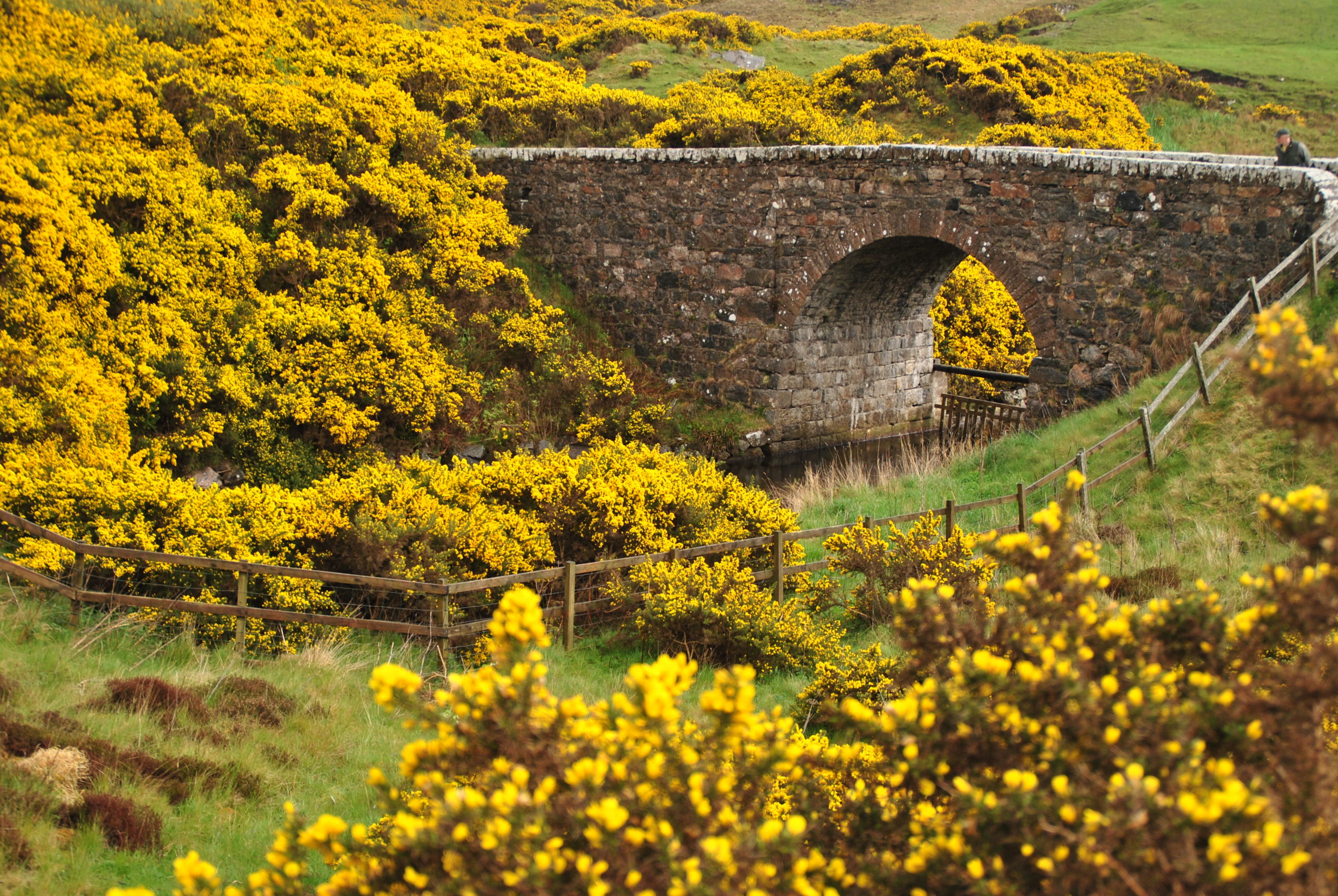 North Coast 500, Schottland