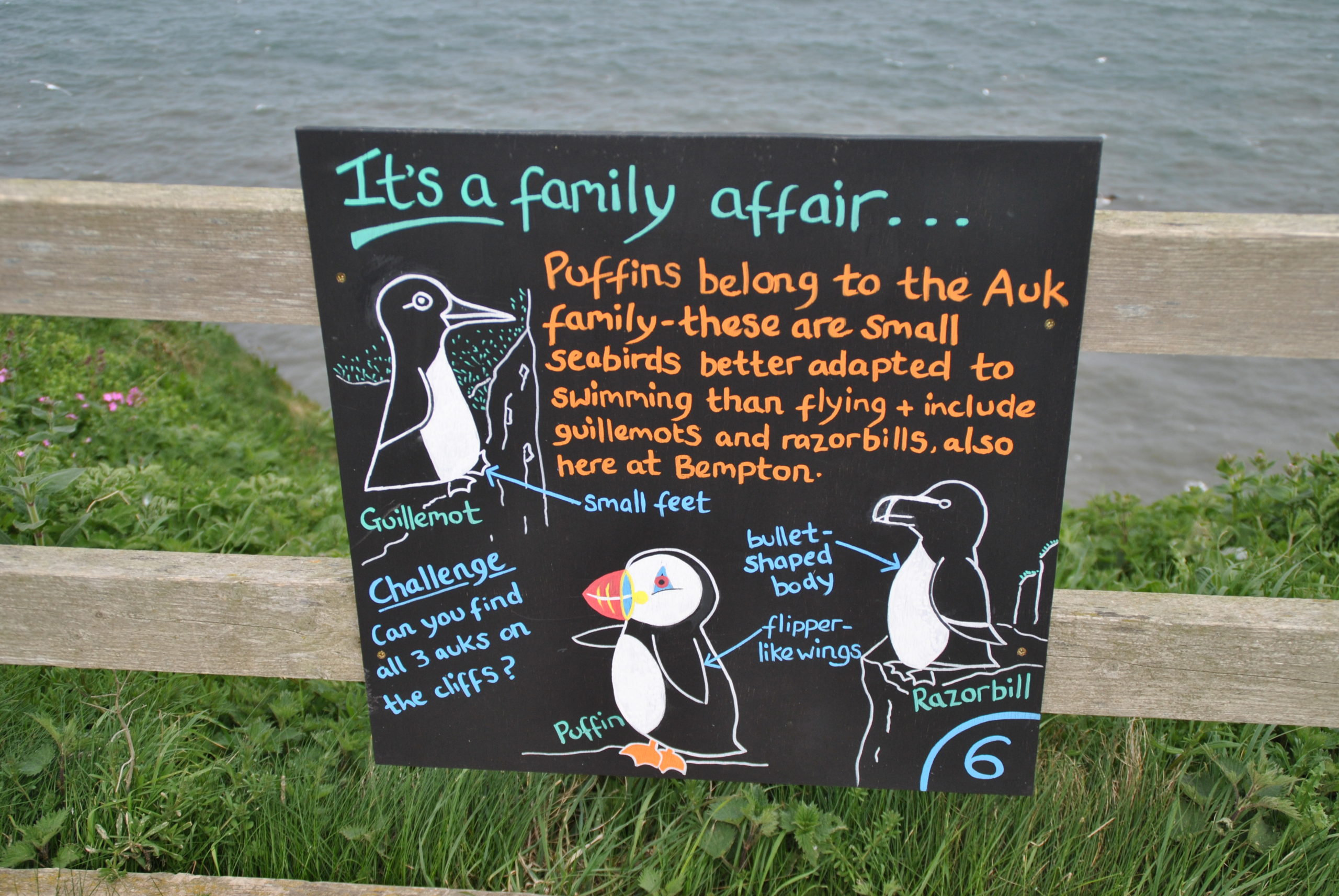 RSPB, Schottland, England