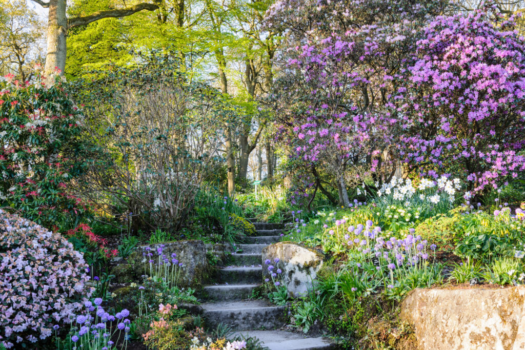 Garten in Schottland