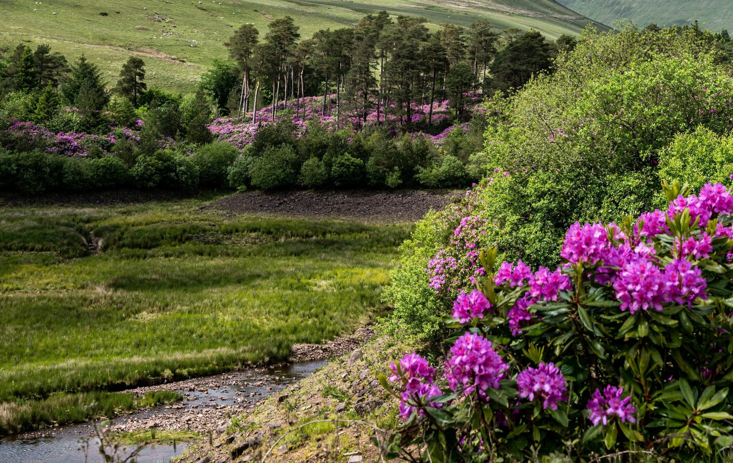 Brecon Beacons Way, Wales
